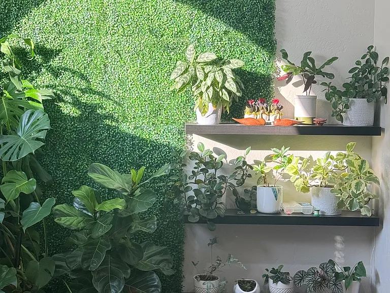453 E Lana Ct — Photo 23