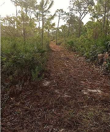 3rd image of 1756 Jasmine Way