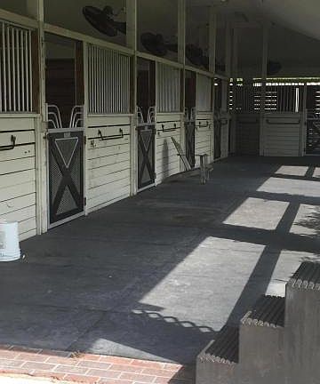 5th image of 2567 Appaloosa Trl
