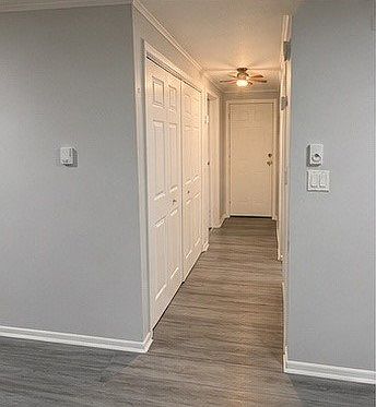 5th image of 183 Oakwood Ave