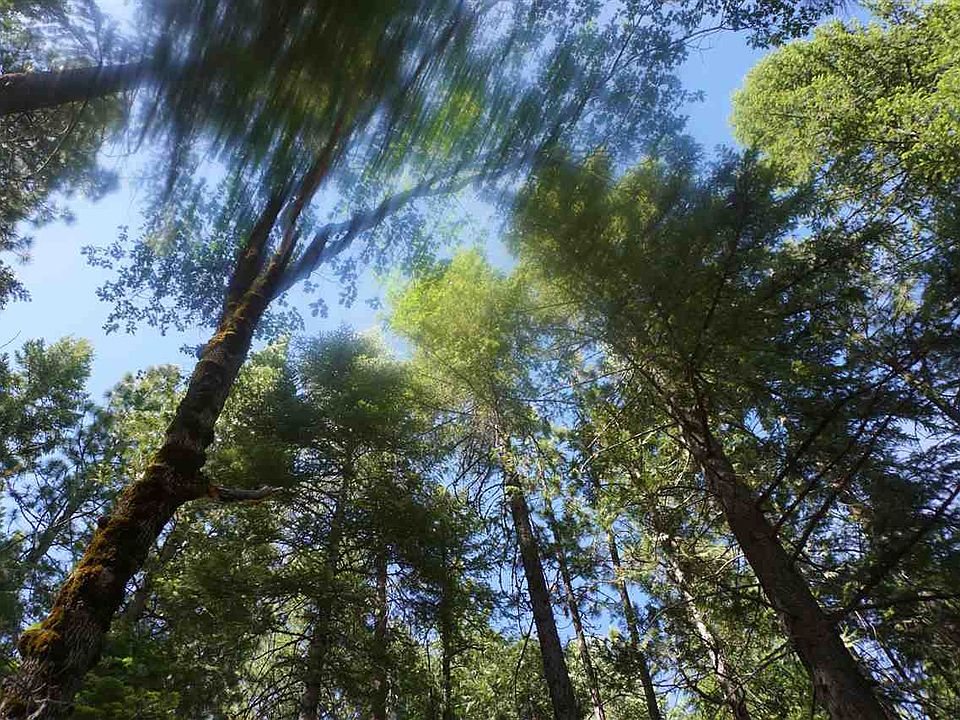 1st image of 2239 Sugar Pine Cir