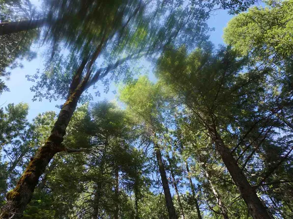 2239 Sugar Pine Cir, Quincy, CA 95971