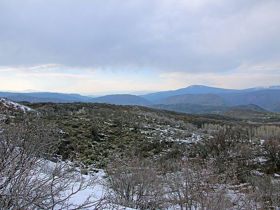 5th image of 3900 Juniper