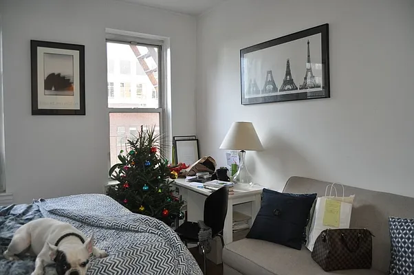 Rented by Sky Management | media 15