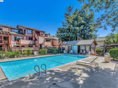 192 Hackamore Cmn, Fremont, CA, 94539