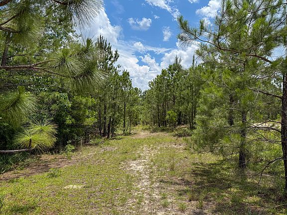 5th image of 0 Beaver Dam Rd