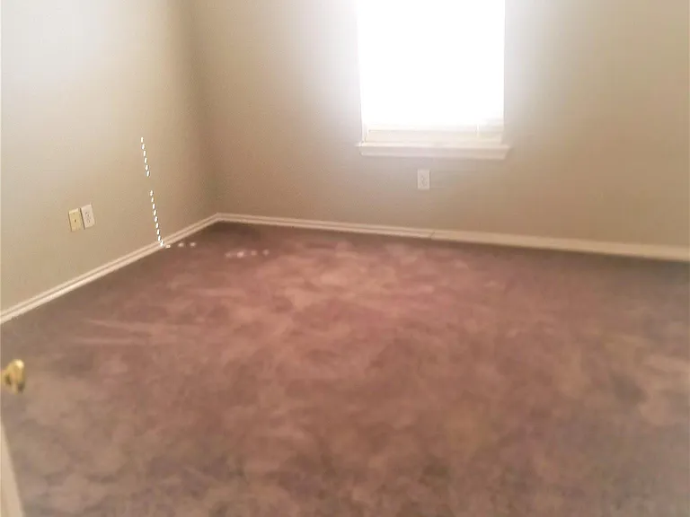 46 Wineberry Pl — Photo 21