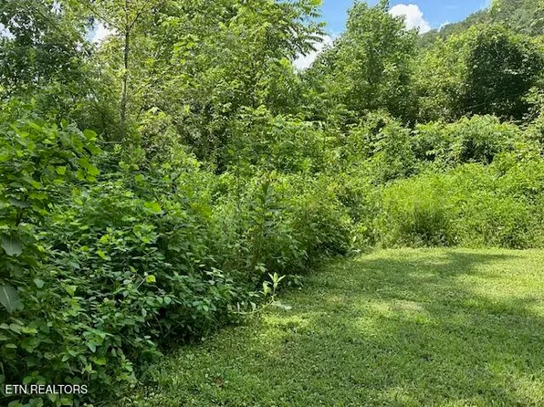 100 Knot Hole Rd, Arjay, KY 40902