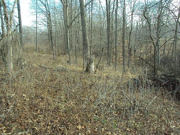 5th image of 8 Old Highway 52 Lot 8