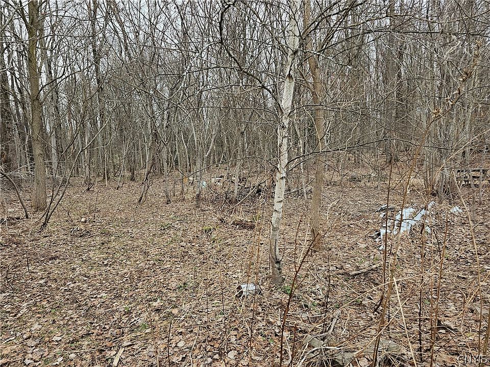 1st image of 6985 Stearns Rd Lot 4