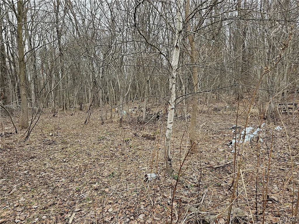 6985 Stearns Rd Lot 4 photo 1