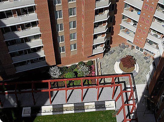 Court Yard