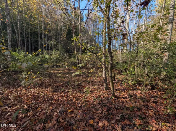 Clinch River Hwy, Fort Blackmore, VA 24250