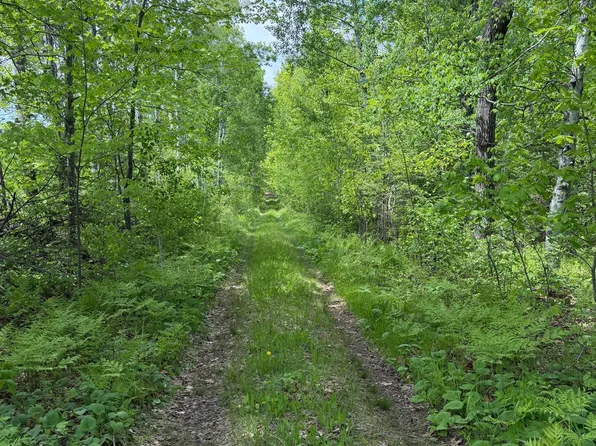 Range Line Rd, Kerrick, MN 55756
