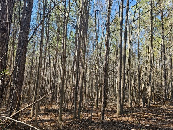 0 Highway 13 N, Eldridge, AL 35554