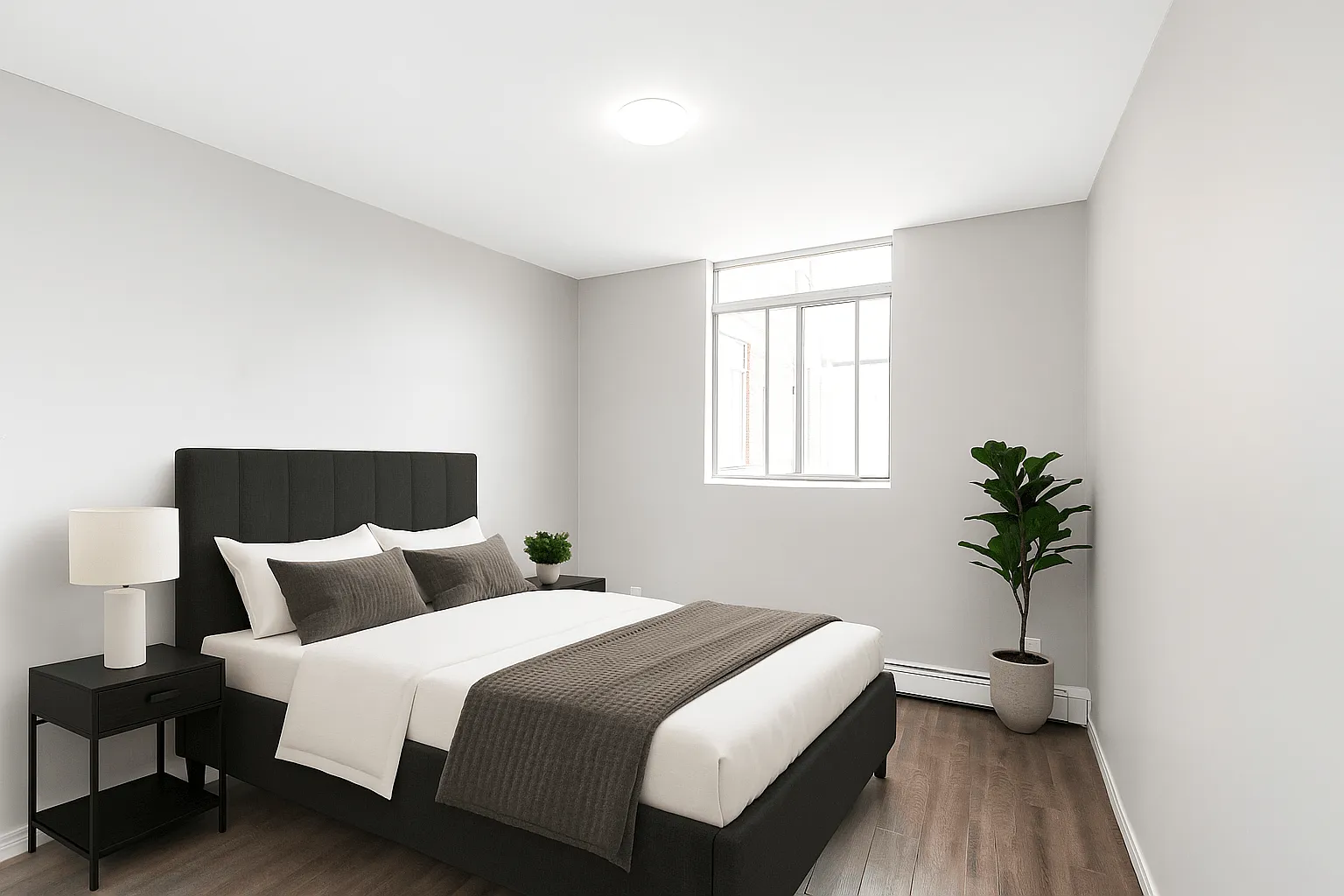 Evelyn Court Apartments — Photo 4