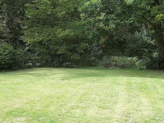 Backyard Secluded by Woods