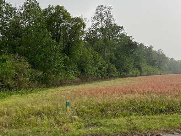 3rd image of TBD Dothan Rd. #near 1326 Dothan road