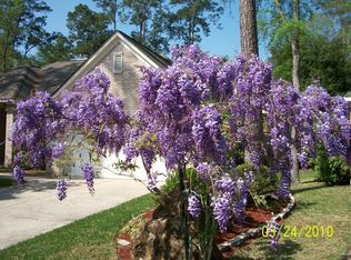 65 N Old Cedar Cir, Spring, TX 77382