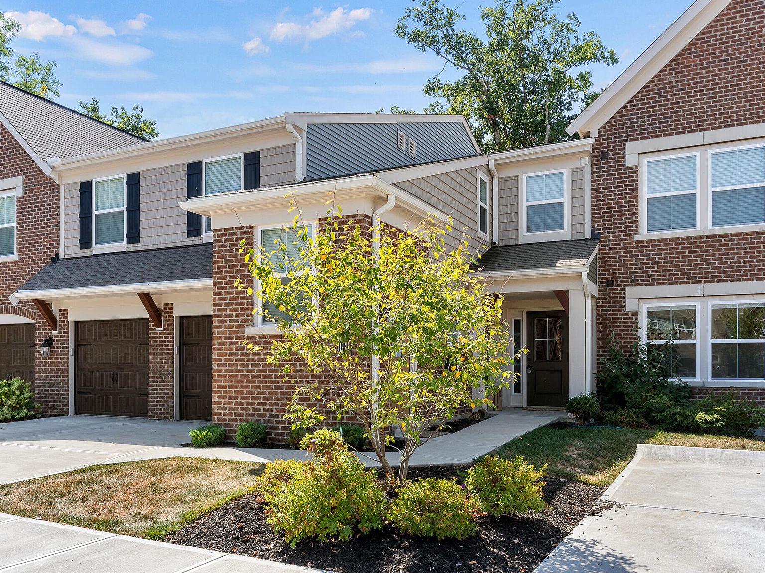 邦楽 CROWN KING'S VALLEY 邦楽 CROWN KING'S VALLEY Golden King's