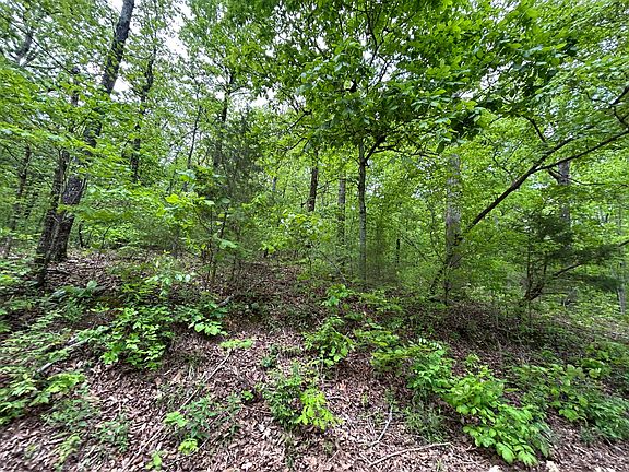 5th image of 000 River Trace Lane