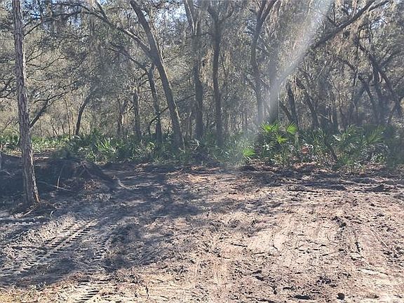 3rd image of 119 GARDENIA AVENUE LOT 8