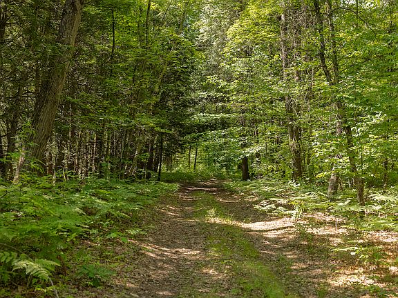 5th image of V/l 13 Mile Rd