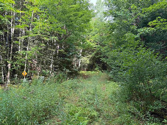 5th image of 0 North Road