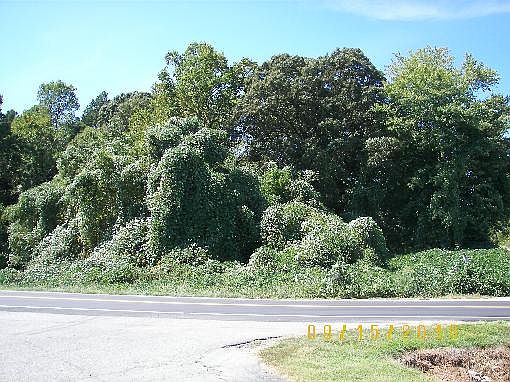 2nd image of 1853 N State Highway 16 Business Hwy