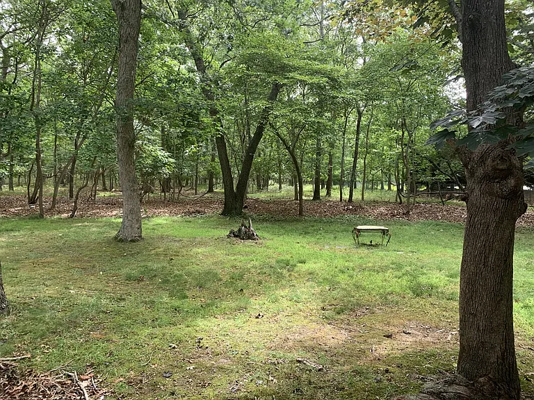 133 Neck Path — Photo 18