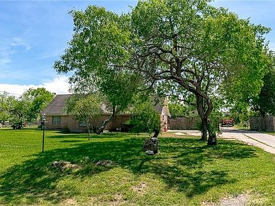 Beautiful Mesquite trees.