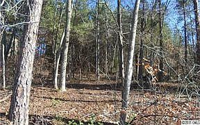 2nd image of 6762 Barefoot Cove Ct