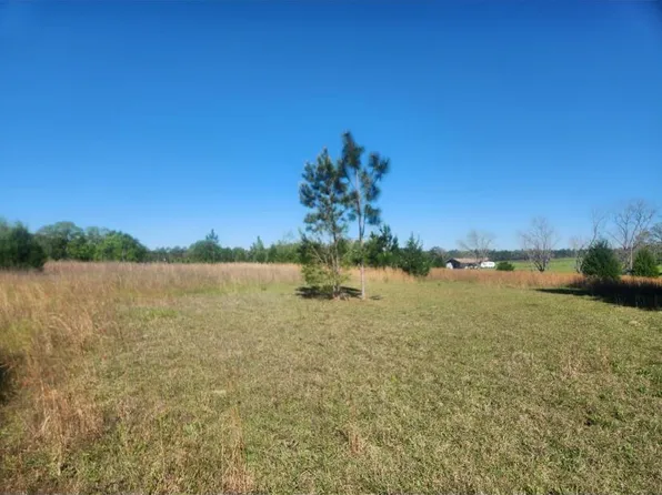 0 W Lewis Ln, Bonifay, FL 32425