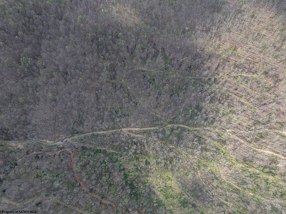 5th image of LOT 1 Squires Run Rd