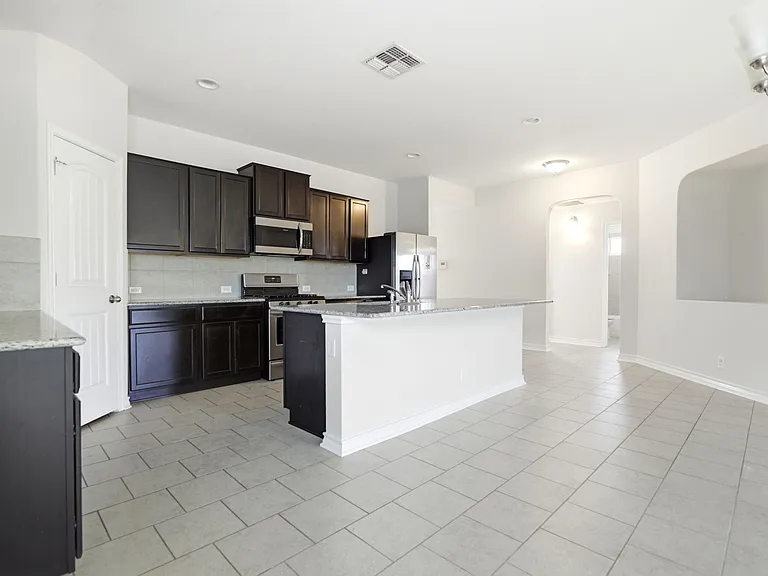 15441 Cooks Petrel — Photo 7