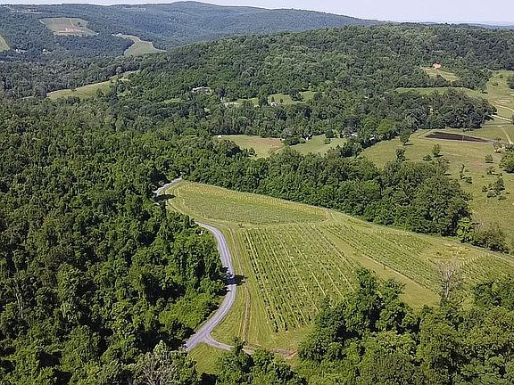 Neighborhood Vineyard