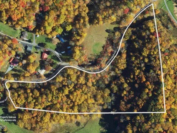Heaton Ridge Rd, Roan Mountain, TN 37687