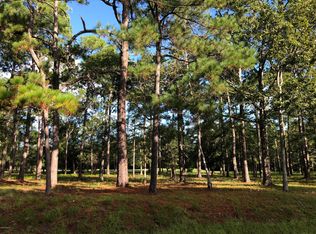 16-L16 Copas Rd, Shallotte, NC 28470