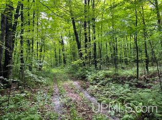 New Dnr Rd, Crystal Falls, MI 49920