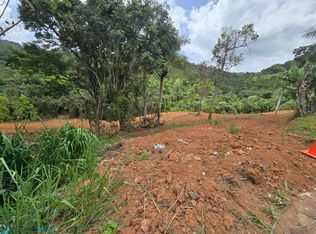 0 Estancia La Sierra #Ii, Aguas Buenas, PR 00703