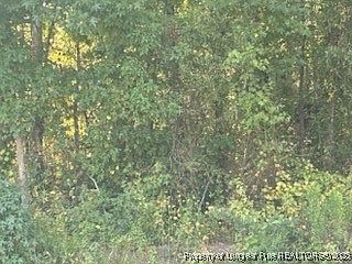 2nd image of 2743 Pine Log Rd