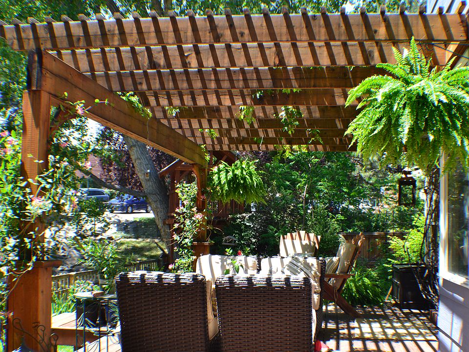 Deck, Pergola, Tree House