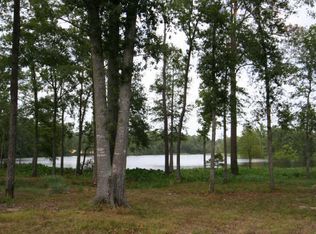 1413 Sapphire Shrs, Willis, TX 77378
