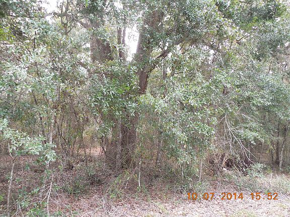 4th image of 00 NE COUNTY ROAD 219-A