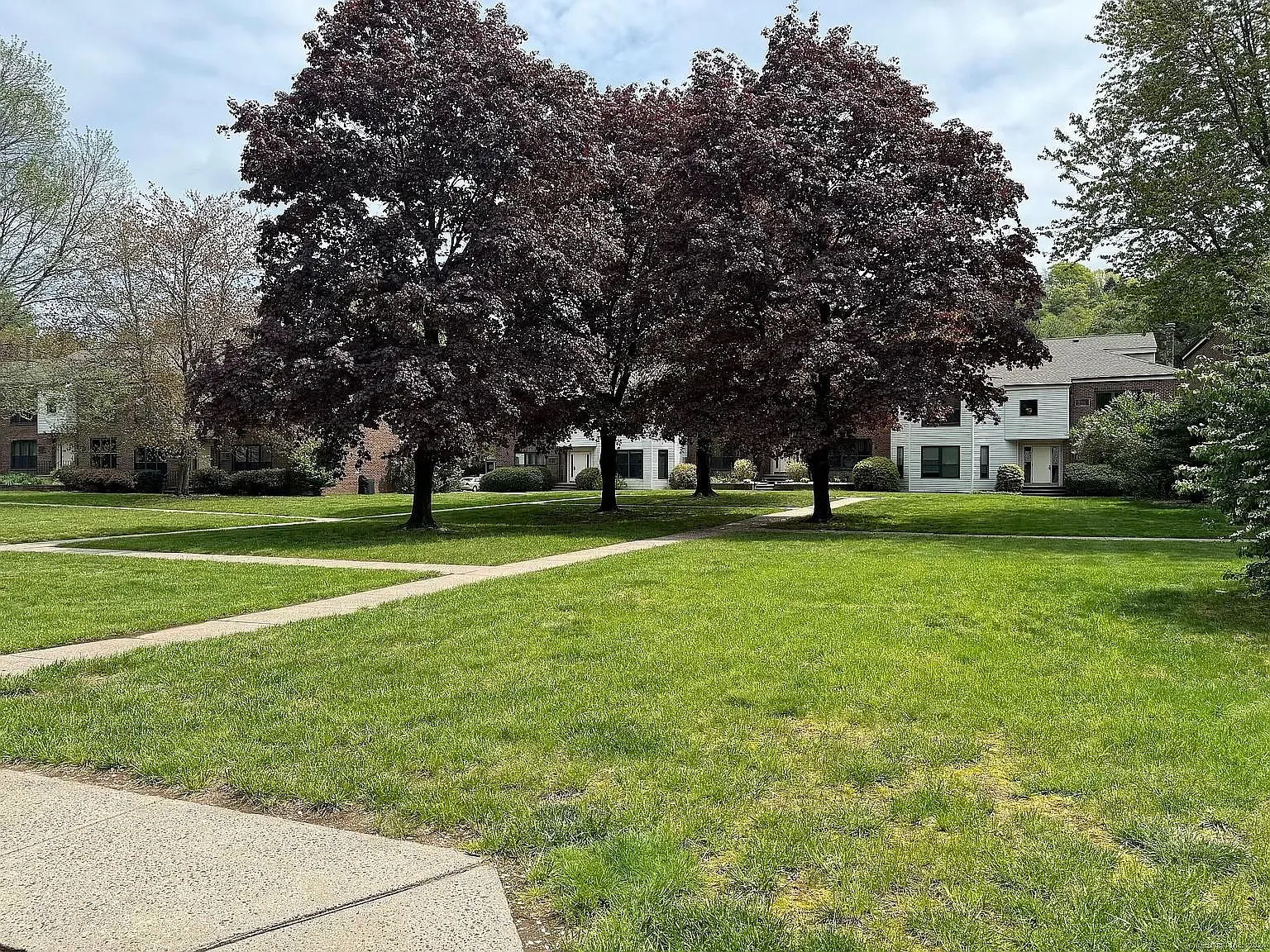 1 bed, 772 sqft, $1,800 — Photo 3