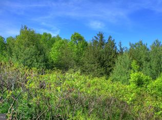 Wilhoite Ln, Rapidan, VA 22733