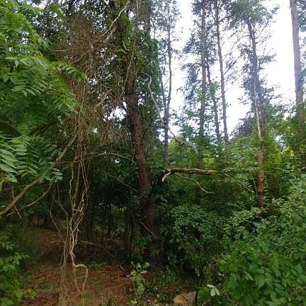 4th image of Lot 121 Apache Ct Lot 121