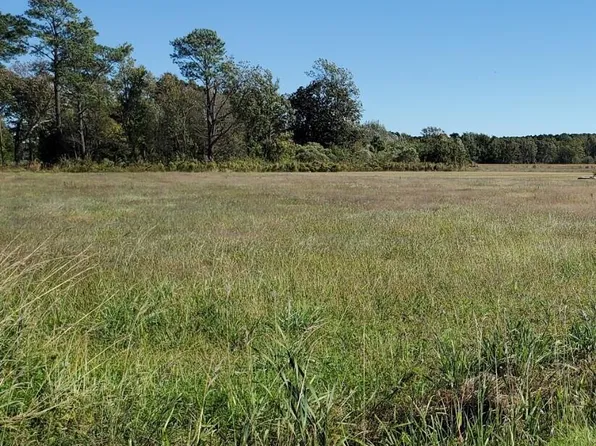 Lot 1 Muddy Creek Road, Hertford, NC 27944