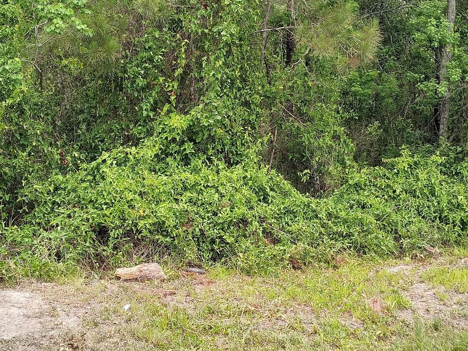 1st image of Hoover Lot 6&7