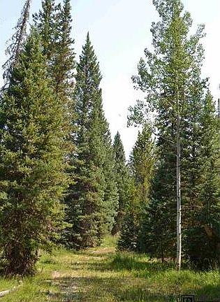 2nd image of 60130 Crazy Horse Way